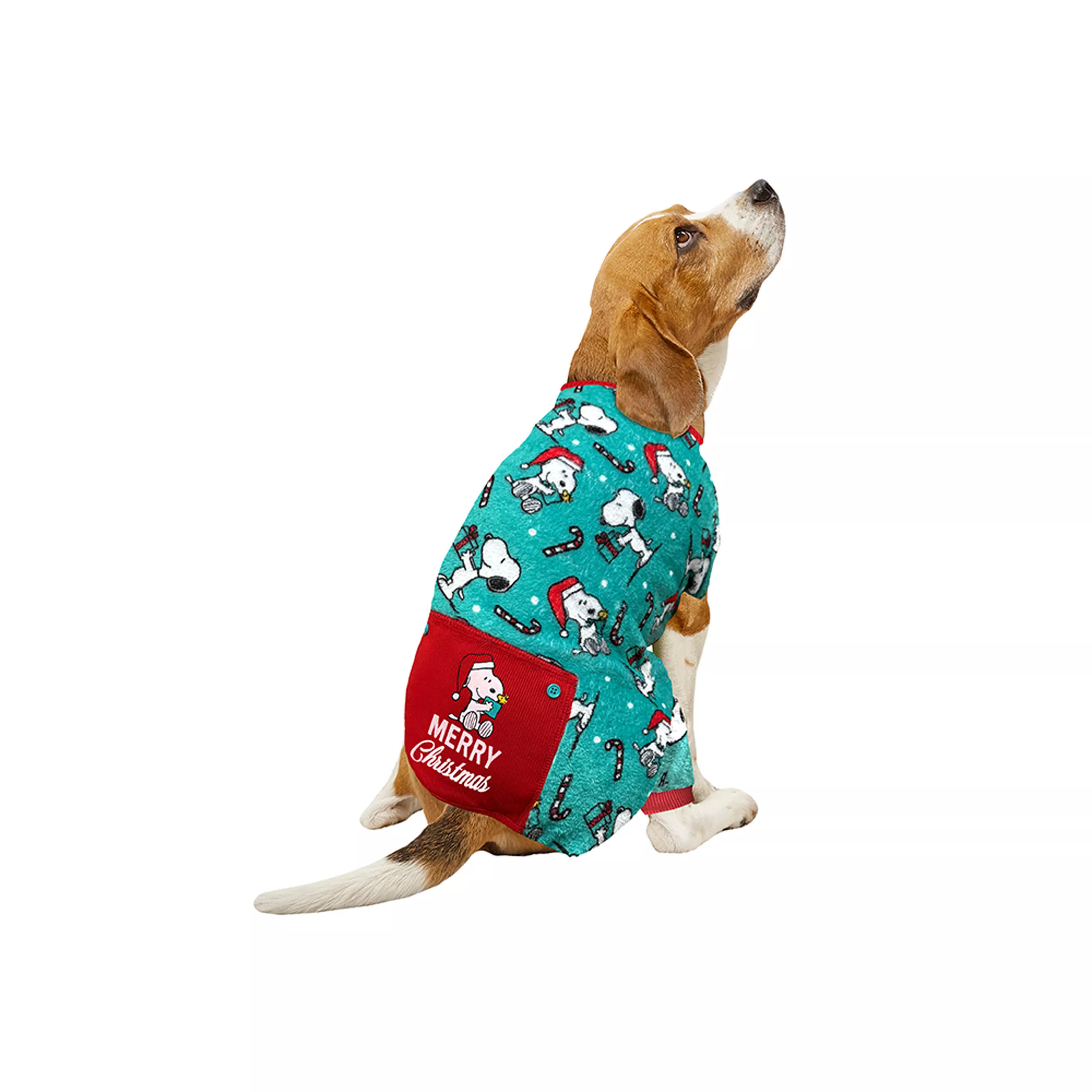 Peanuts Snoopy Green Dog Pajamas | PetSmart