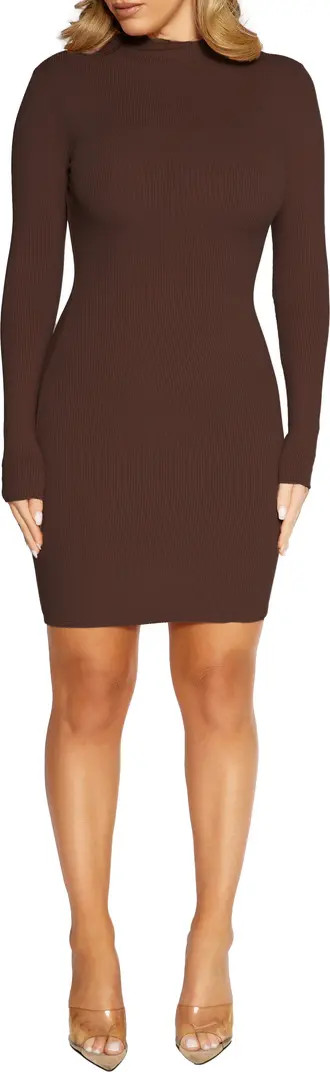 Long Sleeve Rib Sweater Dress | Nordstrom