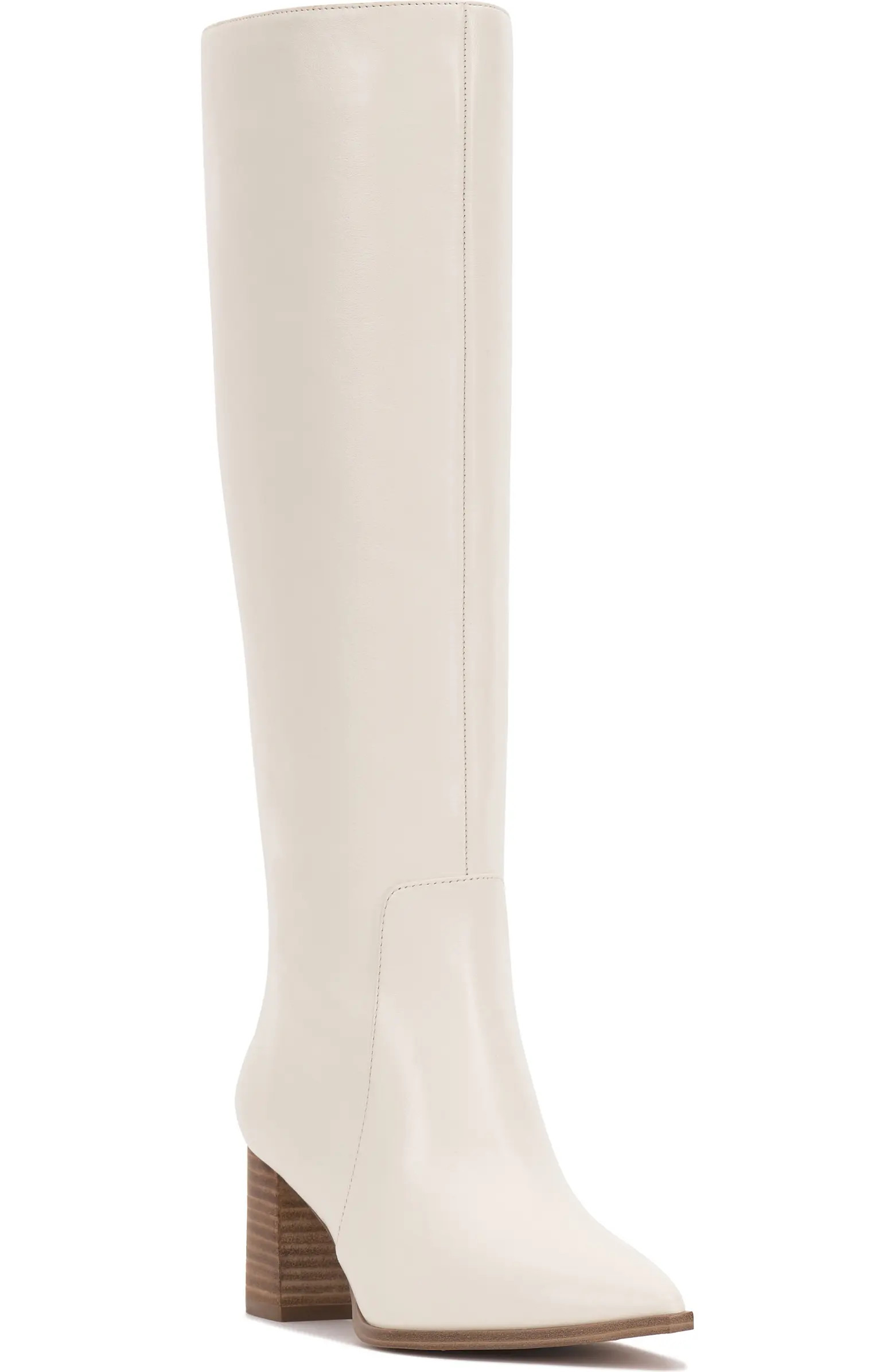 Lumina Pointed Toe Boot (Women) | Nordstrom