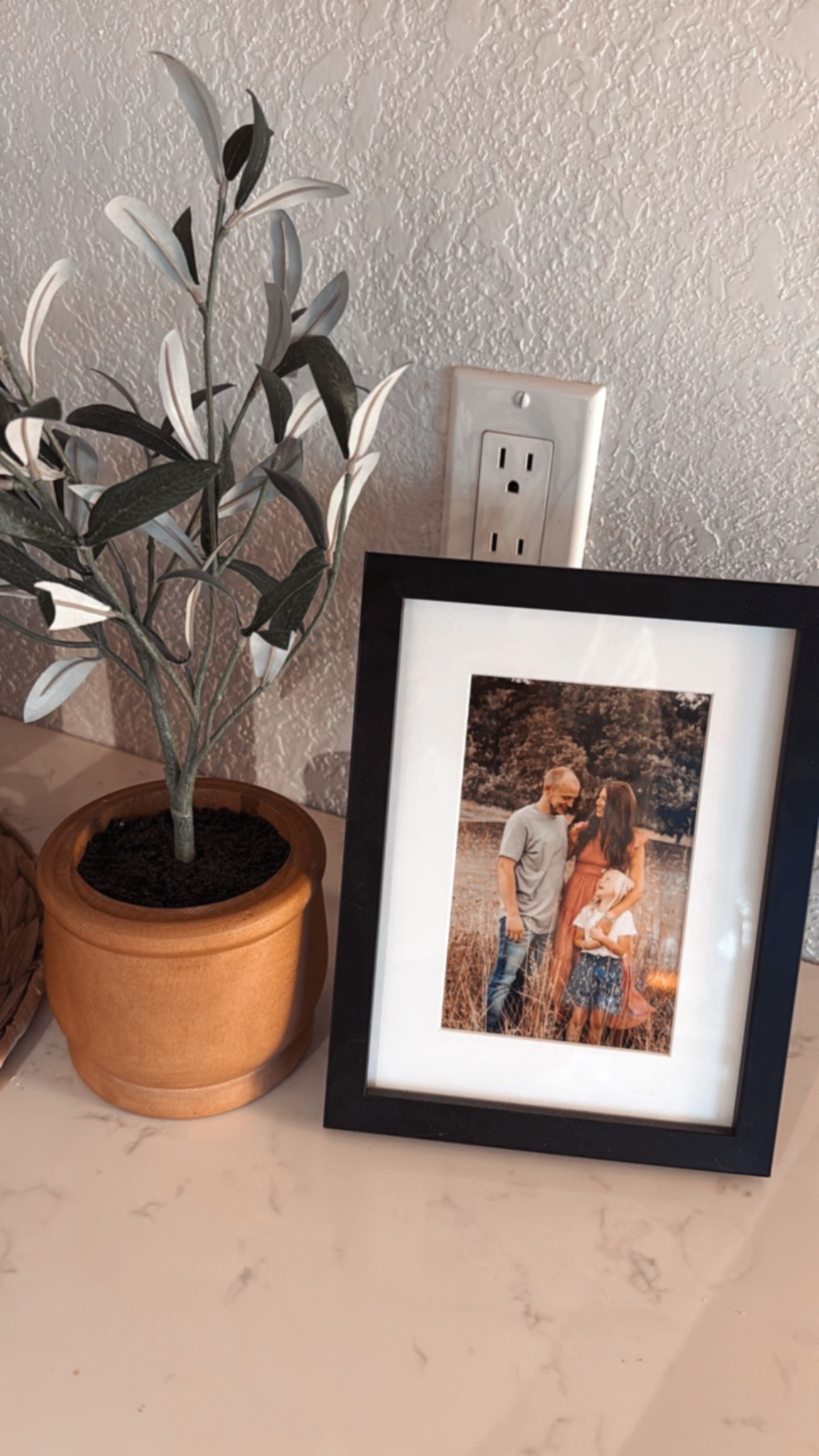 Hurry!! This faux olive leaf plant is back in stock at target! #homedecor #target #targetdecor #fauxplant #olivefauxplant

#LTKHome