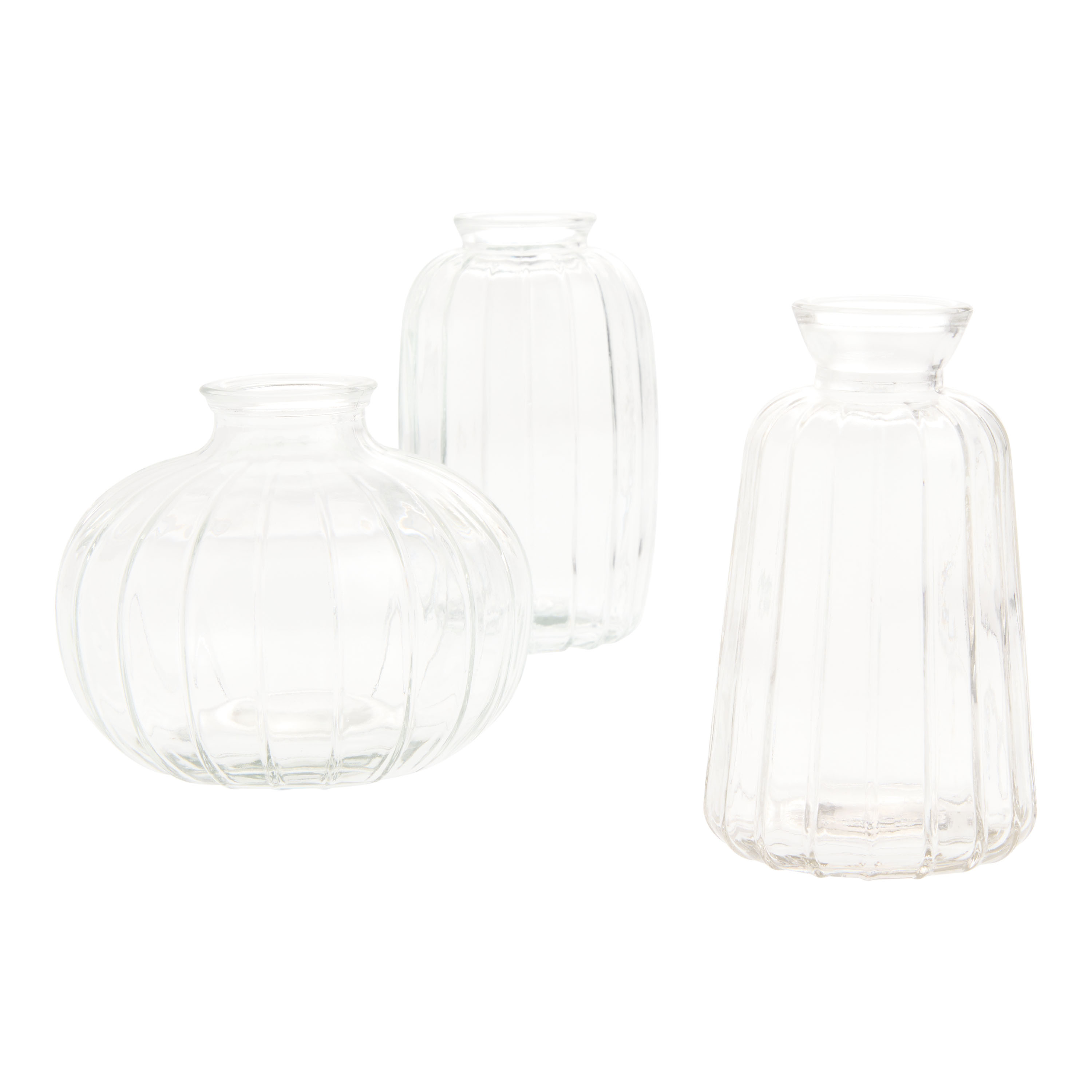 Clear Glass Ribbed Bud Vase | World Market