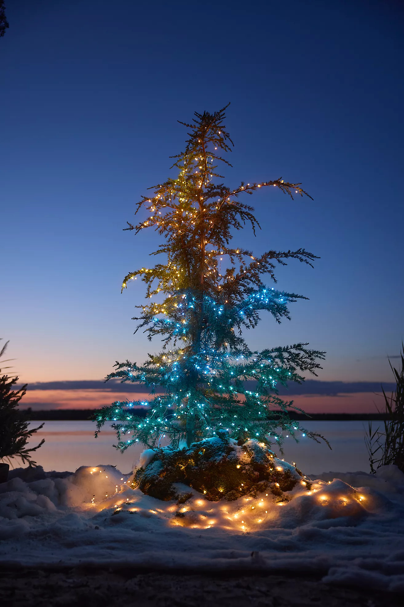 Stargazer Color-Changing Light Strand | Anthropologie (US)