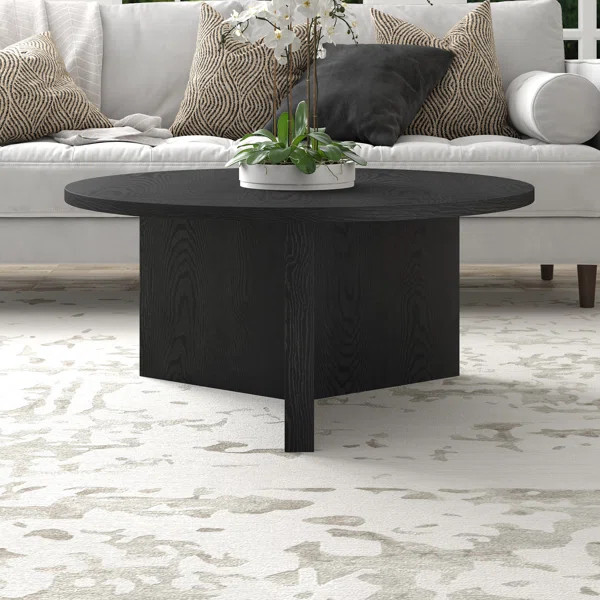 Beisel Coffee Table | Wayfair North America