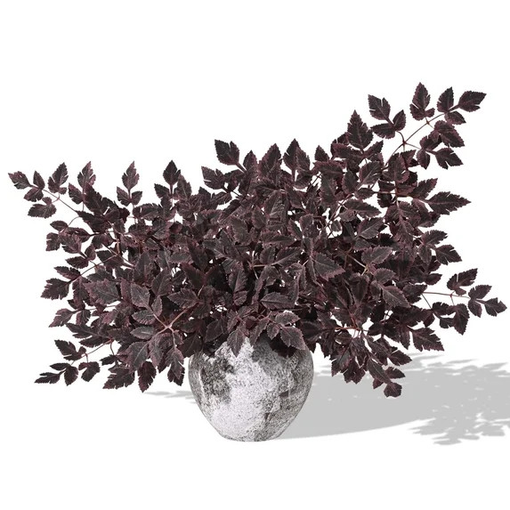 Waipfaru 3 Pack Artificial Cimicifuga Plant Stems, 36" Faux Silk Plum Cimicifuga Ramosa Branches ... | Walmart (US)