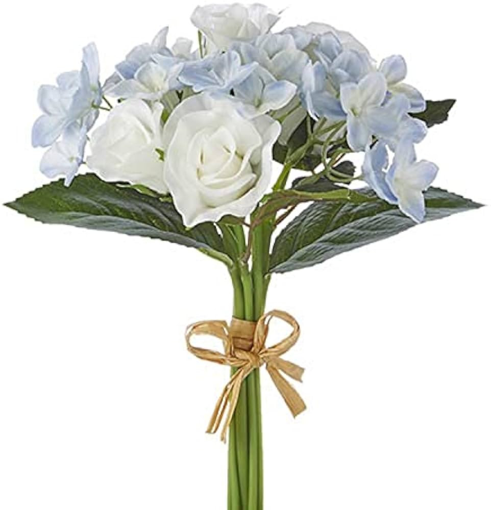 Lijo Decor | Amazon (US)