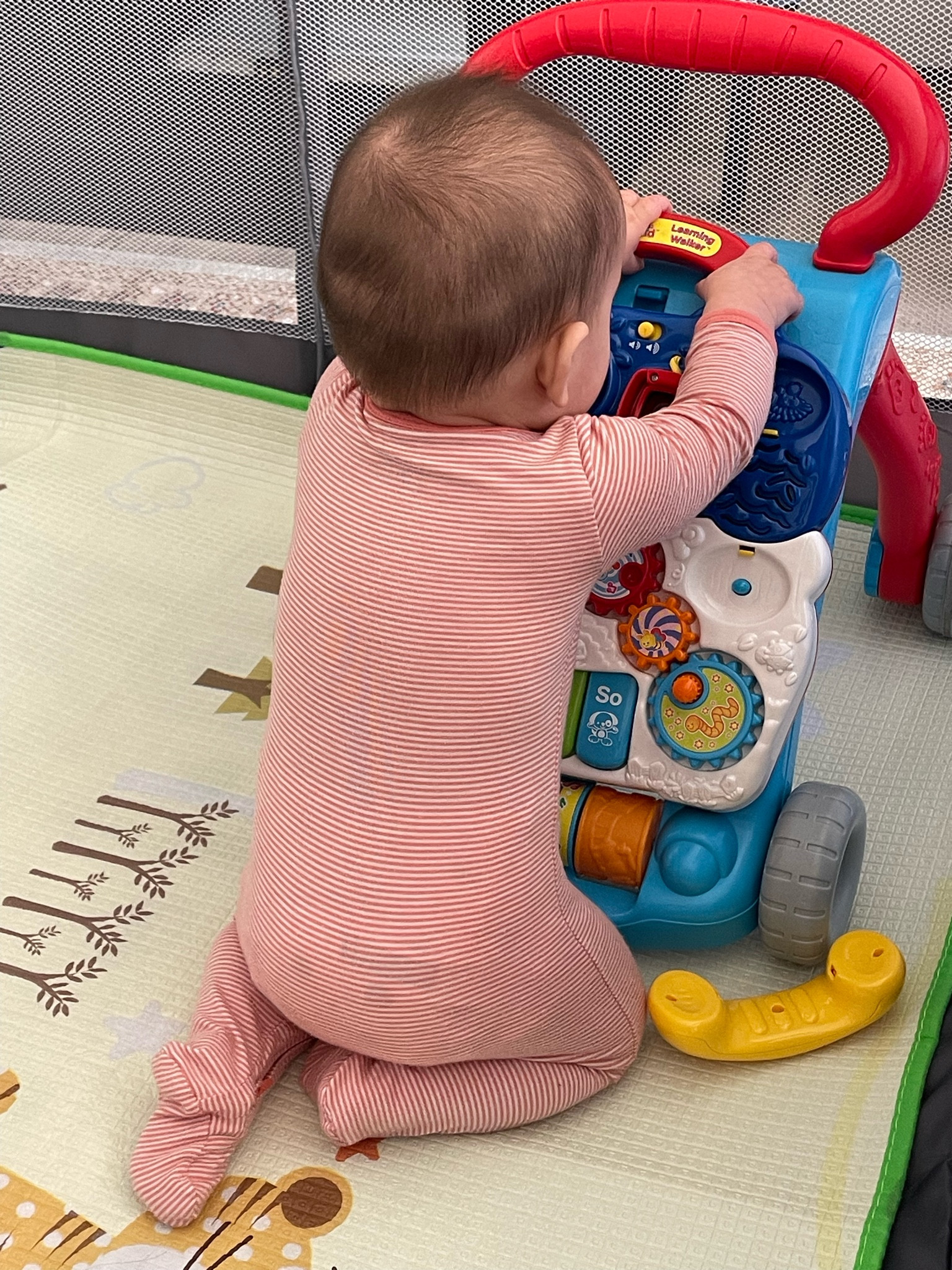 Another day of play in baby’s play pen with her FAVORITE toy currently, this sit-to-stand learning walker 💖