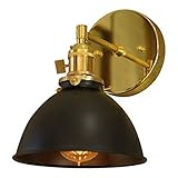 Coastal Cottage 1-Light Brass Wall Sconce, Black Lamp Shade | Amazon (US)