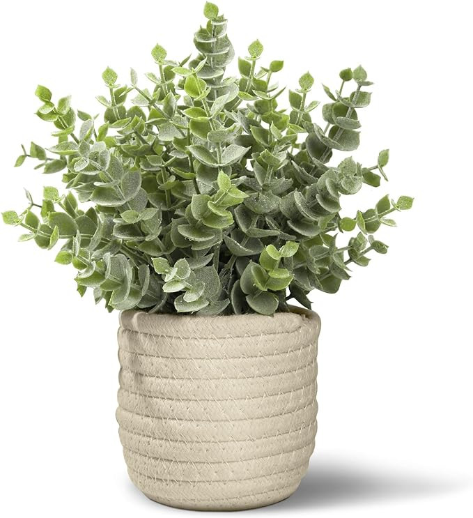 Hopewood Faux Plants, Fake Plants Eucalyptus Potted for Home Office Desk, Artificial Eucalyptus w... | Amazon (US)
