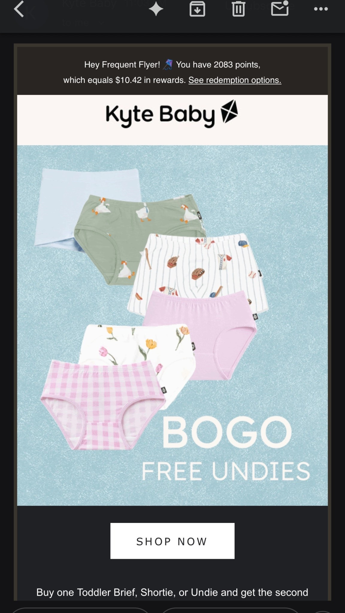 BOGO kyte toddler undies!

#LTKSpringSale #LTKBaby #LTKKids