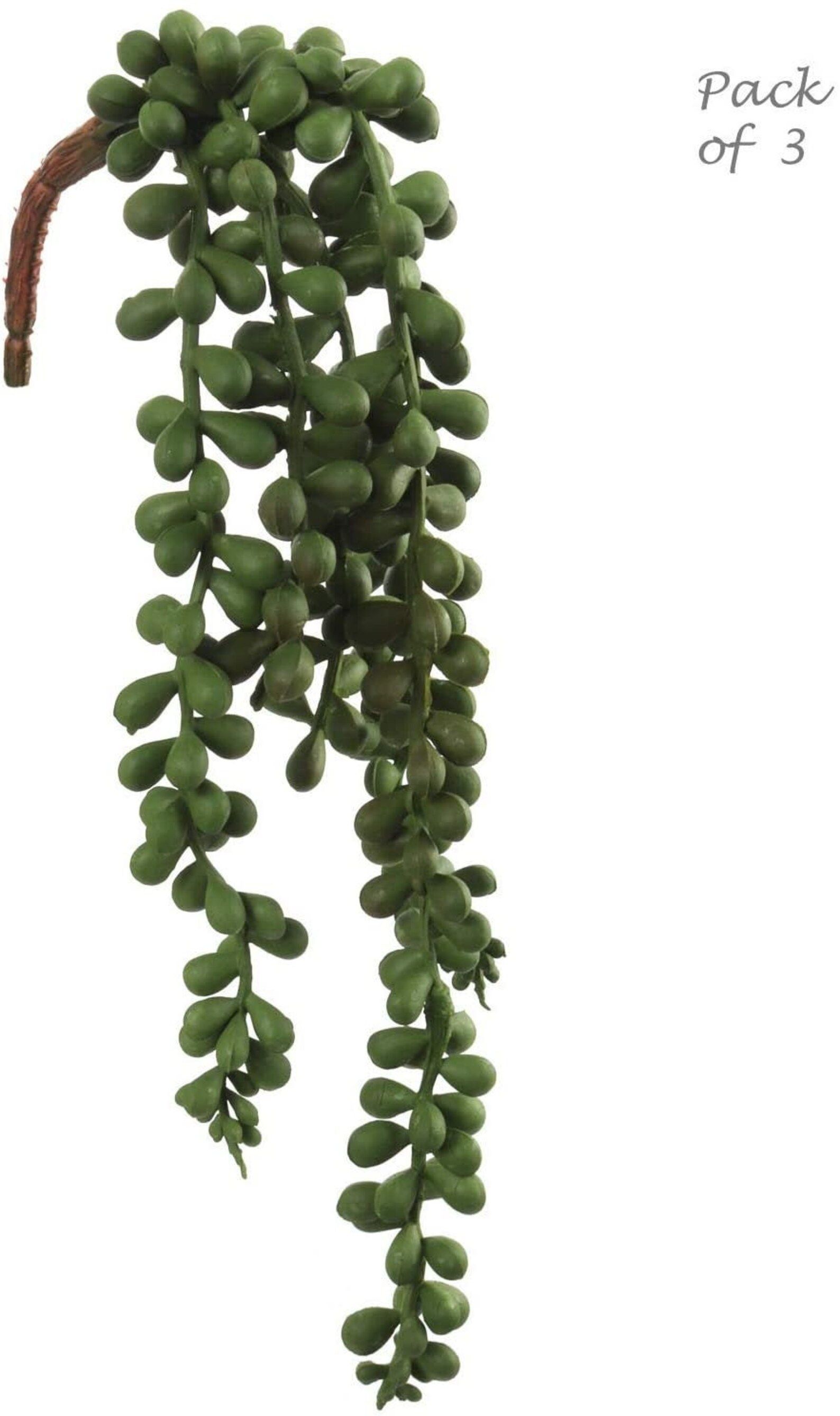 3 PACK String of Pearls Hanging Succulent Plant, Artificial Plant, 13" Lg, Natural Green Hues, Ho... | Etsy (US)