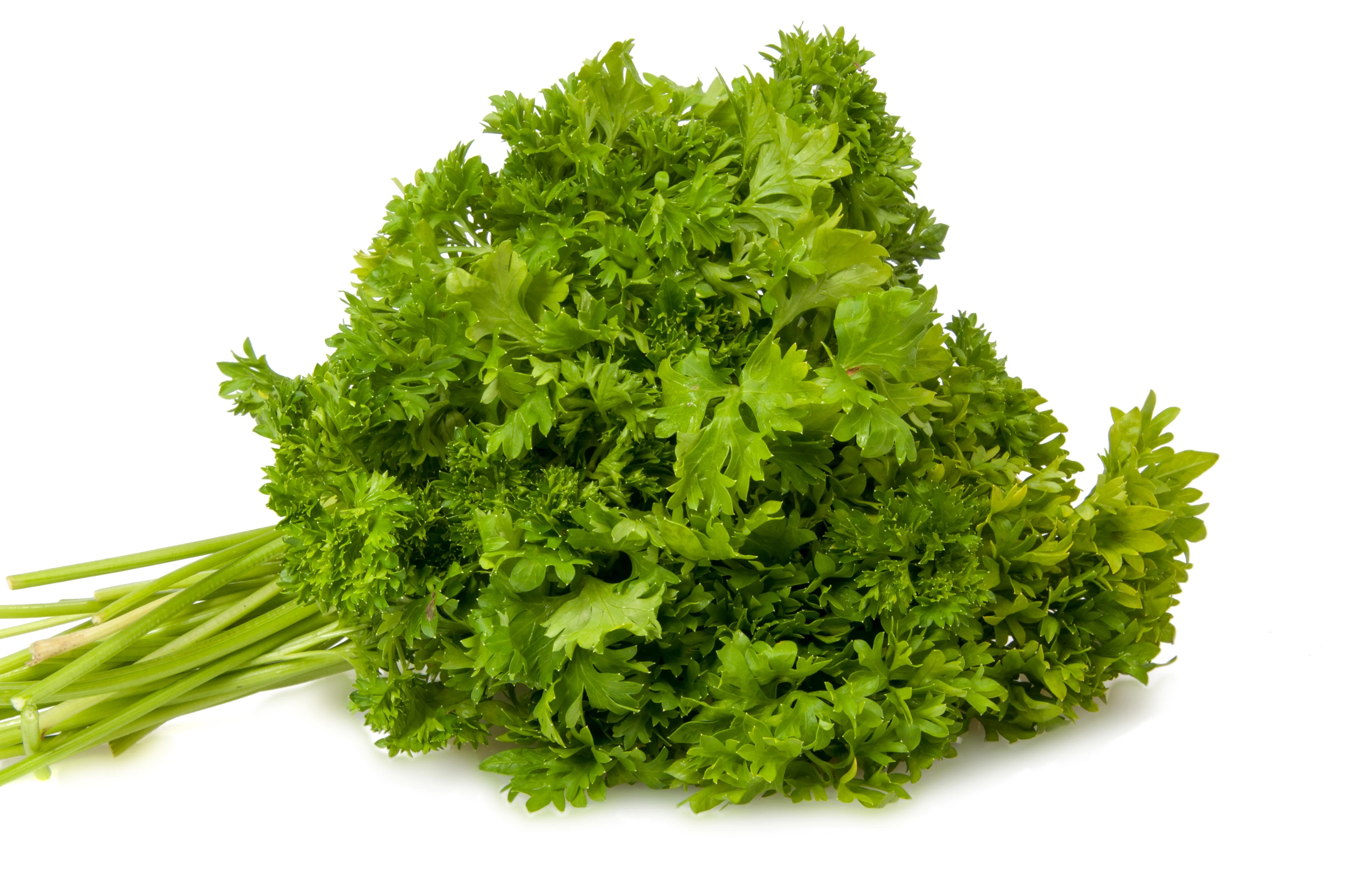 Fresh Cut Parsley, Bunch | Walmart (US)