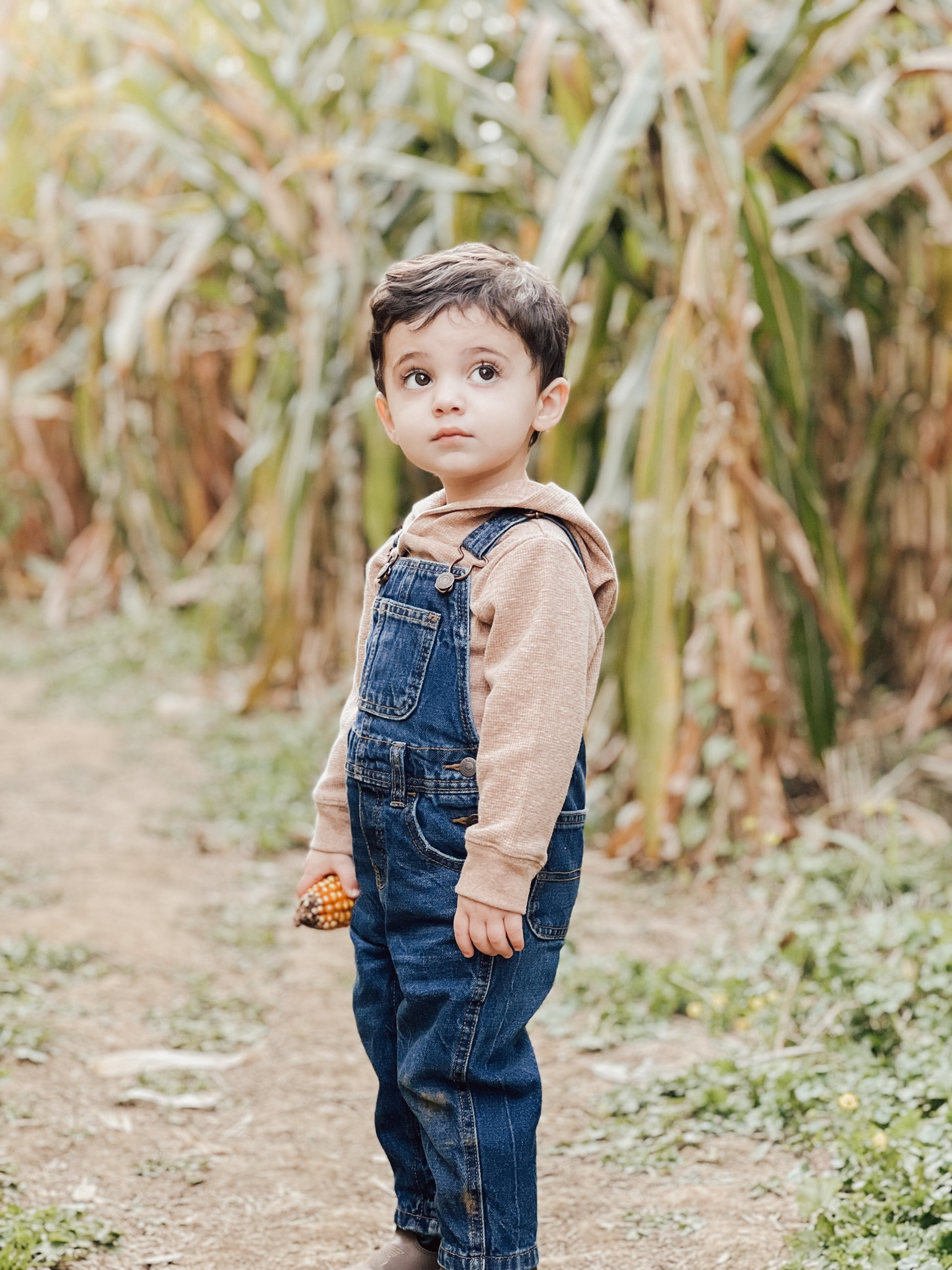 throwback to fall… crisp air, colorful leaves, & corn mazes! 

*cowboy boots are from boot barn* 
#oldnavy #countryboy #fall #overalls #cowboyboots #cowboy #walmartfinds #workhard #boymom

#LTKSeasonal #LTKFind #LTKkids