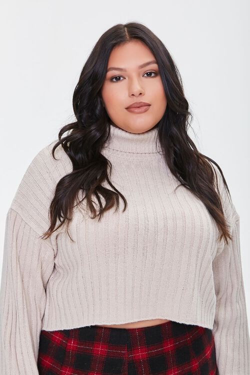 Plus Size Sweater-Knit Turtleneck Top | Forever 21 (US)