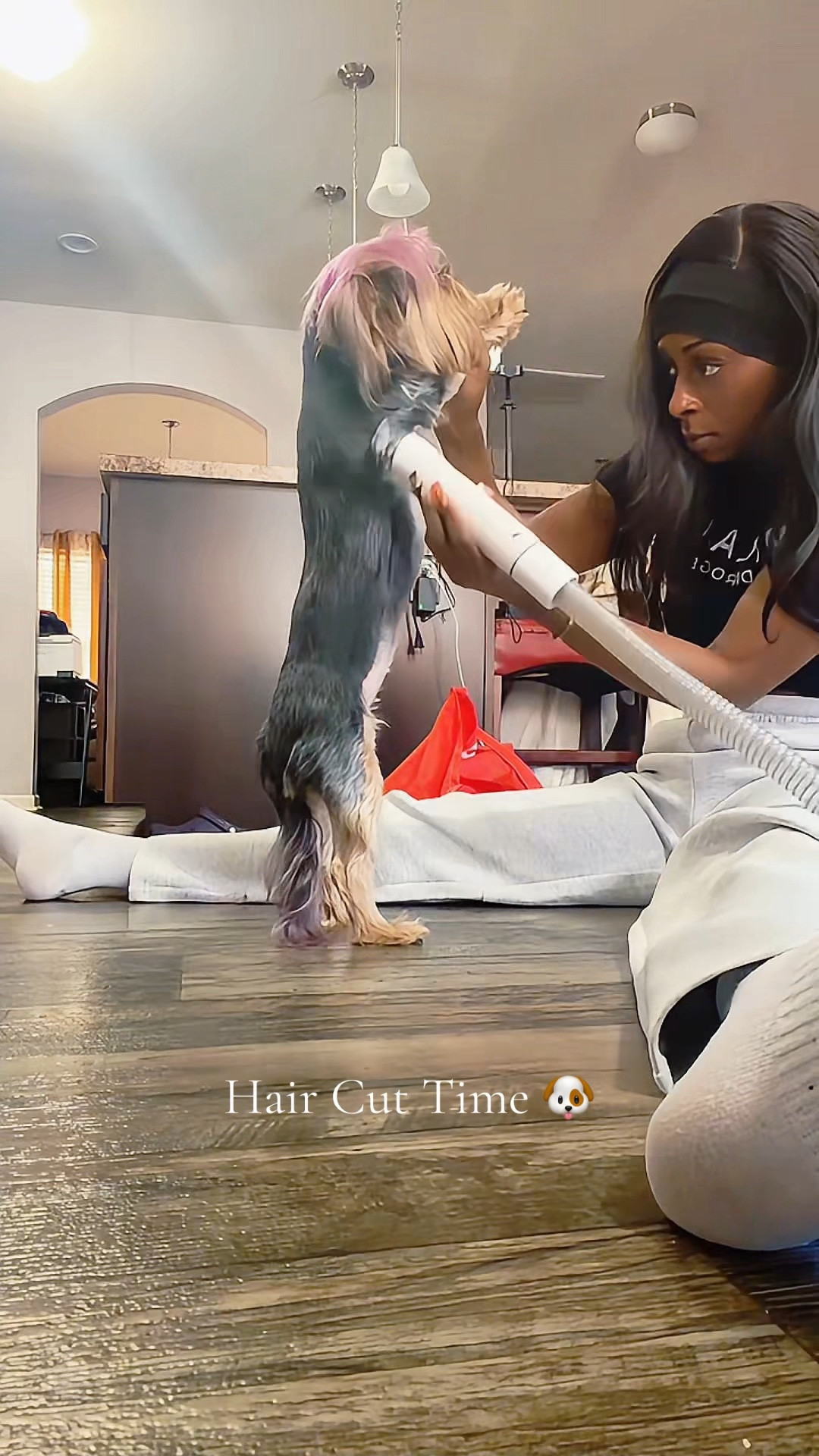 This is how I groom my puppy. It vacuumed the hair up as I’m shaving it. NO MESS

#LTKmomlife #LTKdayinmylife #LTKSpringSale