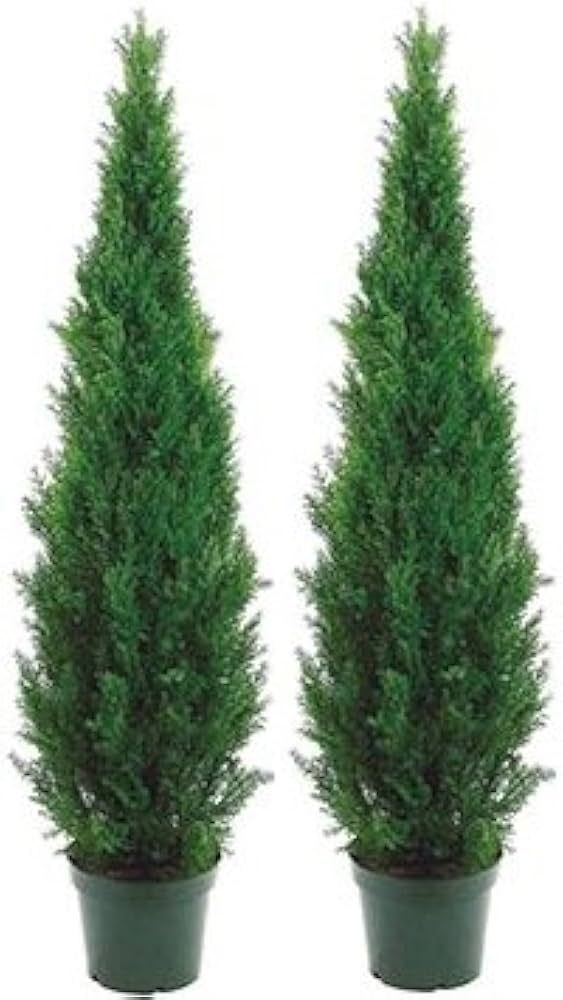 Two 5 Foot Outdoor Artificial Cedar Topiary Trees Potted Plants Two Peace Construction | Amazon (US)