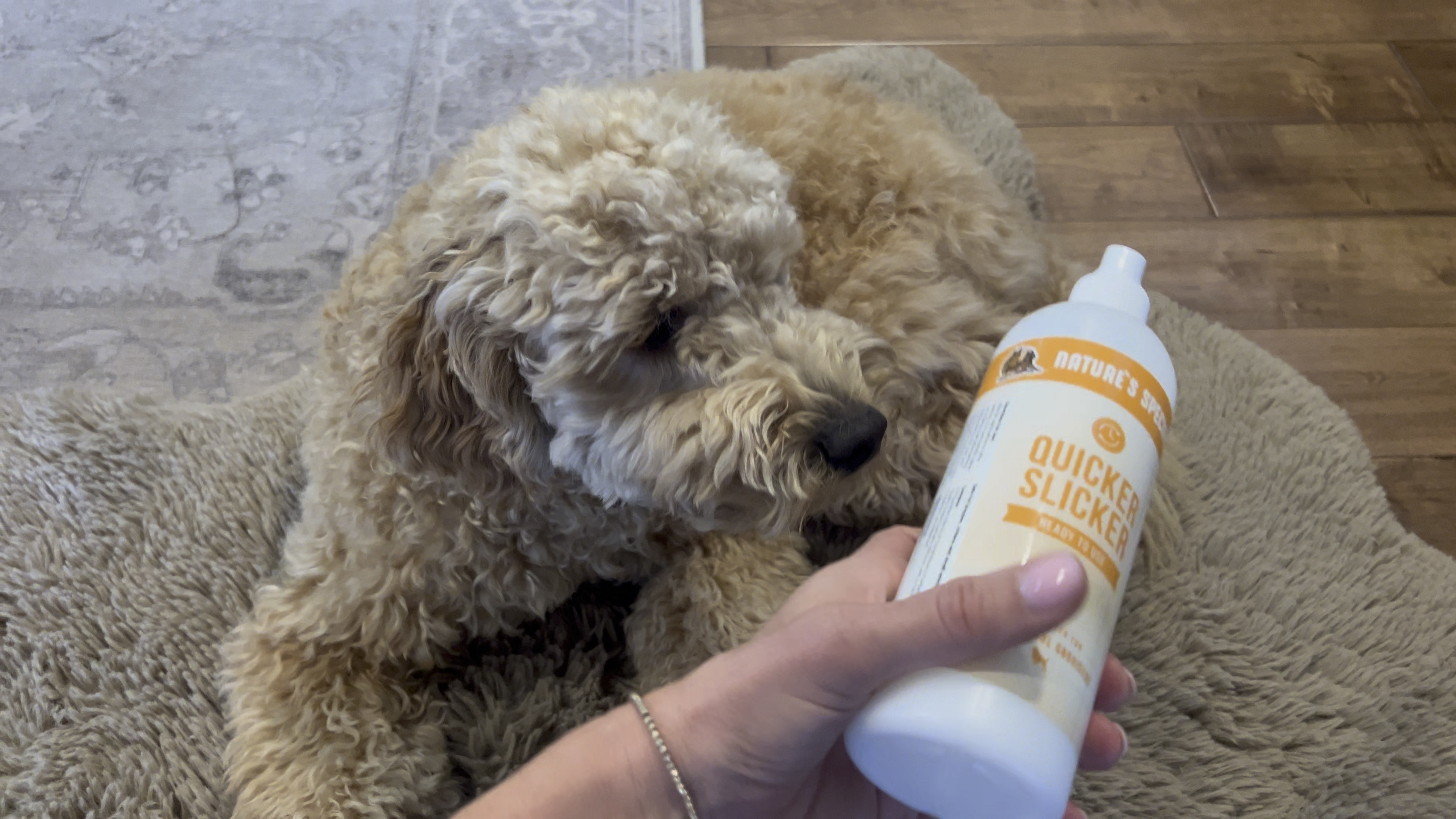 Detangle spray for our goldendoodle puppy scissors 
Amazon dog essentials 

#LTKhome #LTKfamily #LTKunder50