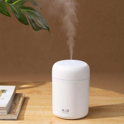 Portable Mini Humidifier, Colorful, Cool Mist, USB Powered. Perfect for Bedroom, Office & Car (300ml, White) | Amazon (US)