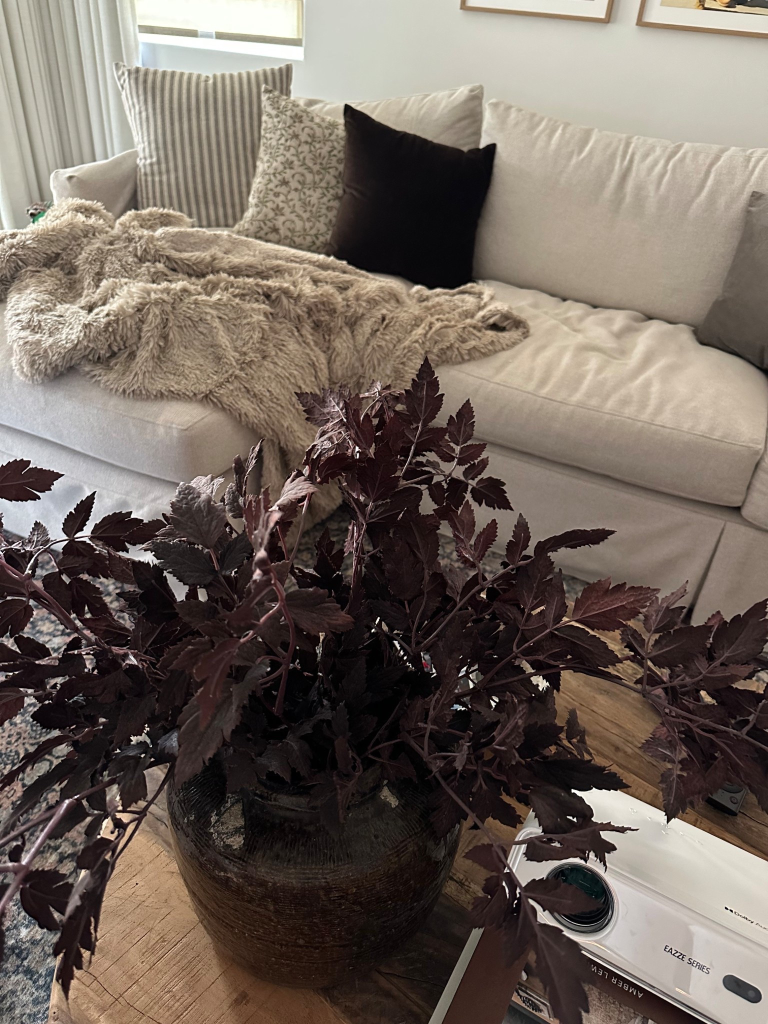 Living room decor, Sherpa blanket, Walmart finds 

#LTKHome #LTKSaleAlert