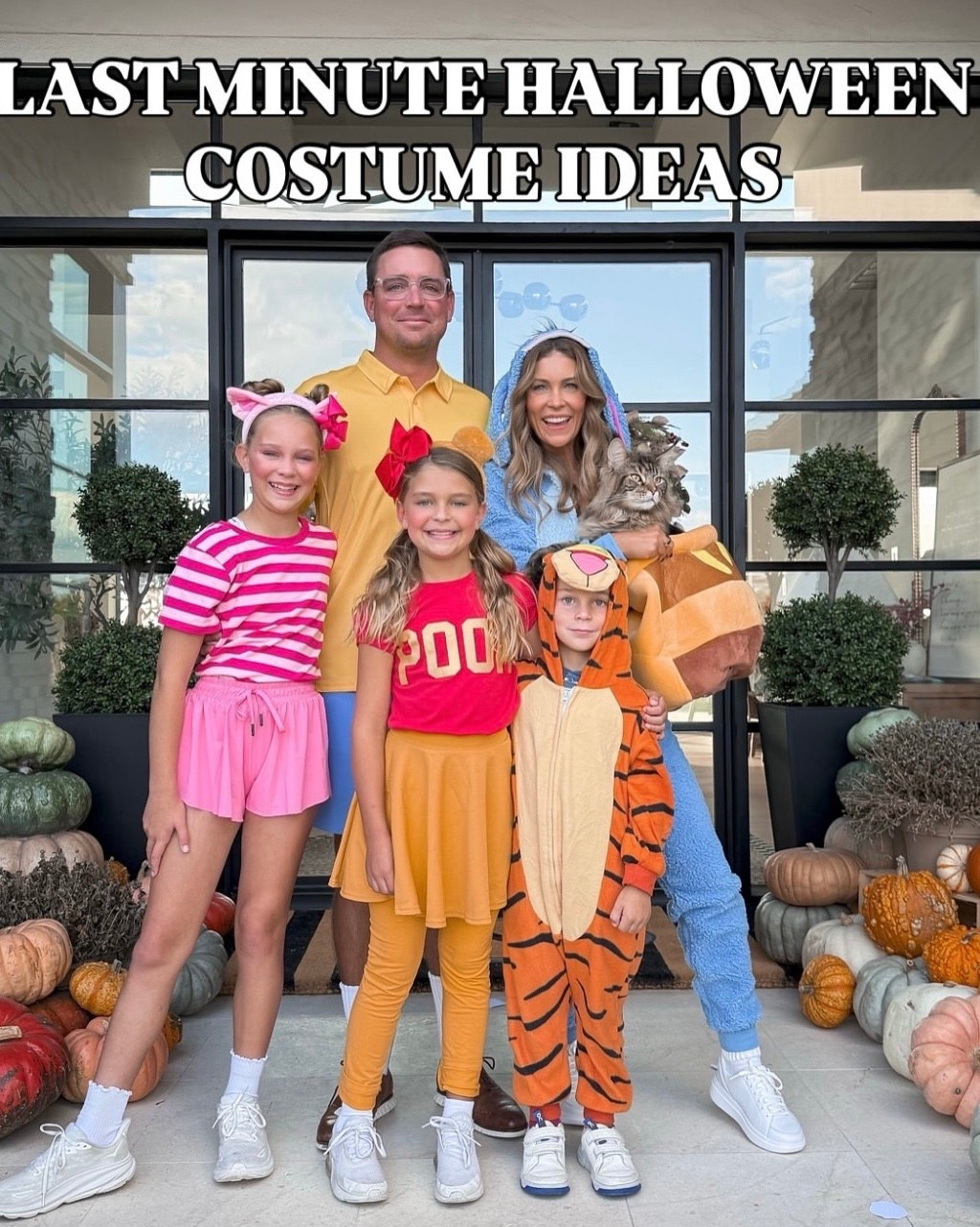 Last minute Halloween costumes all 2 day shipping!! Can’t wait to see this years costumes! 🎃👻

#LTKOver40 #LTKSeasonal #LTKKids