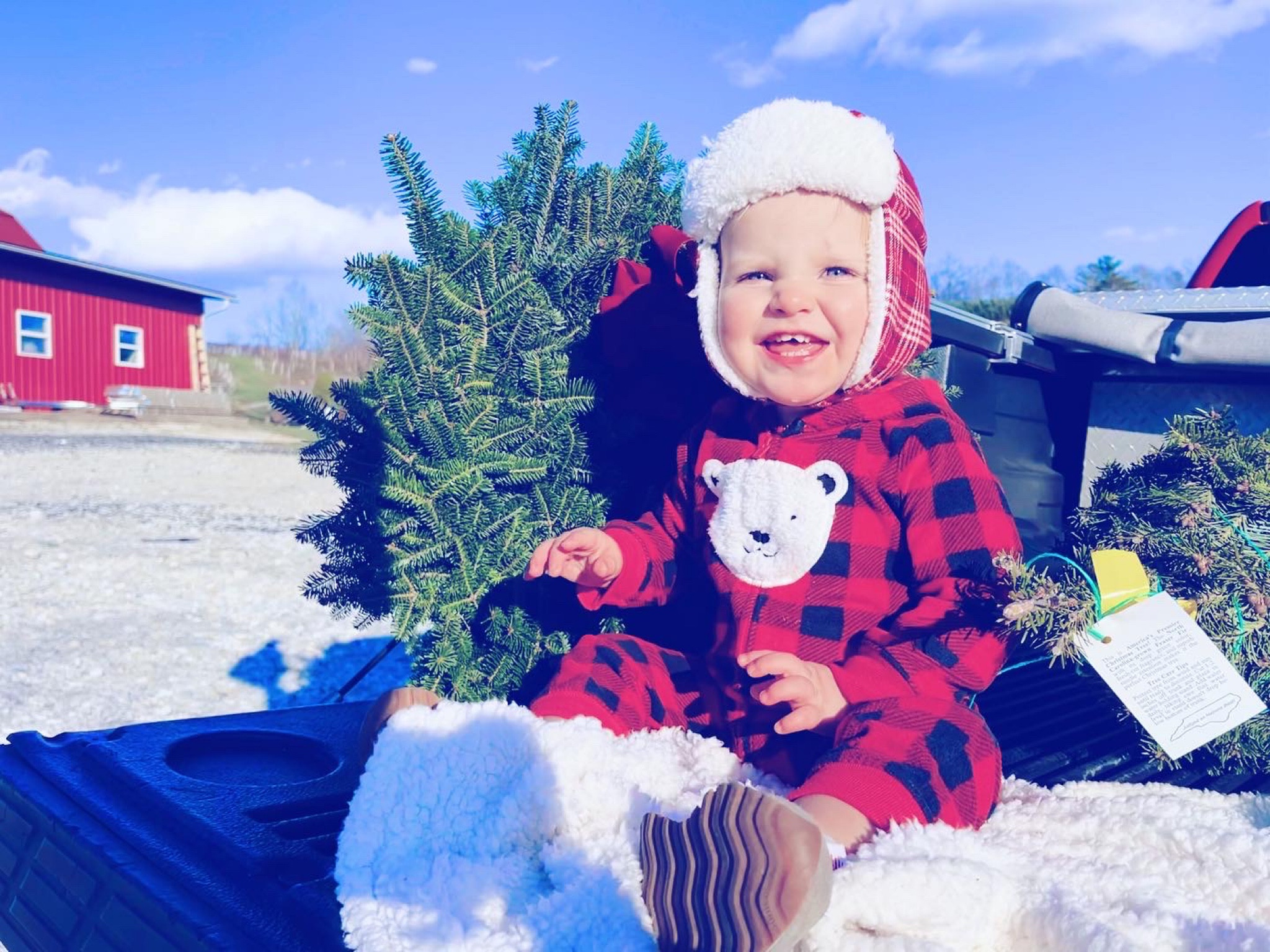 Santa baby, you make this time of year all the more magical and so full of joy!! 👼🏼🎅🏽 Someone sure was proud of the Christmas tree and wreath he got to pick this year at the @redbrntreefrm up in the mountains!! 🌲♥️ #christmasjoy #santababy #christmastreefarm 

…

#emilysayswes #judsoncarpentermabry #seventeenmonthsold #seventeenmonthold #seventeenmontholdbaby #seventeenmontholdboy #judsonmonthbymonth #sweetjudson #oursweetboy #oneyearold #oneyearoldbaby #oneyearoldbabyboy #oneyearoldboy #gratefulmotherhood #thankyoulord #mysweetboys #novembermemories #mostwonderfultimeoftheyear #christmastreepicking #christmas2022 #christmastreefun #christmastradition #christmastraditions

#LTKHoliday #LTKSeasonal #LTKfamily