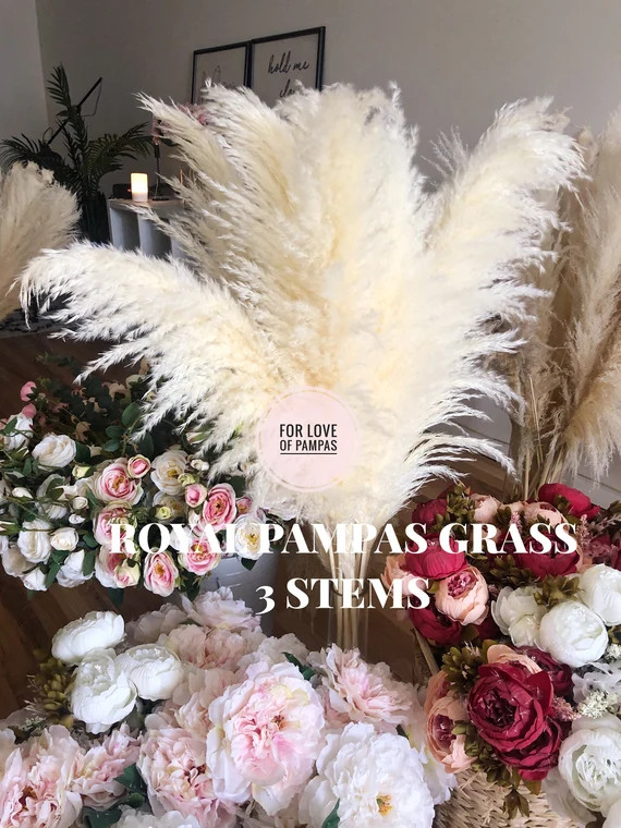 PAMPAS GRASS ROYAL 3 pcs Ivory 46" XLarge XFluffy Dried Cortaderia Selloana Boho Wedding Decor Ho... | Etsy (US)