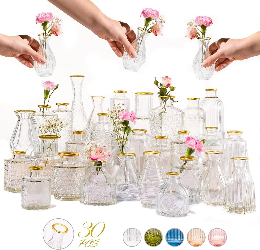 Premium Heirloom Hills Bud Vases for Home Decor, Crystal Clear Glass Flower Vase Set of 30 with H... | Amazon (US)