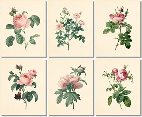 Flower Wall Art - Vintage Pink Roses Botanical Prints (Set of 6) - 8x10 - Unframed - Floral Decor | Amazon (US)