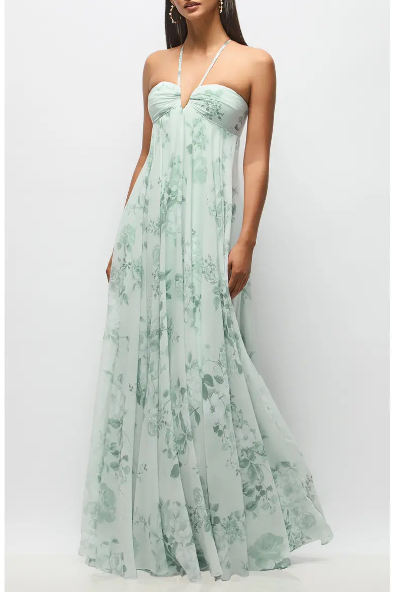 Lilith Floral Chiffon Gown (Women) | Nordstrom | Nordstrom