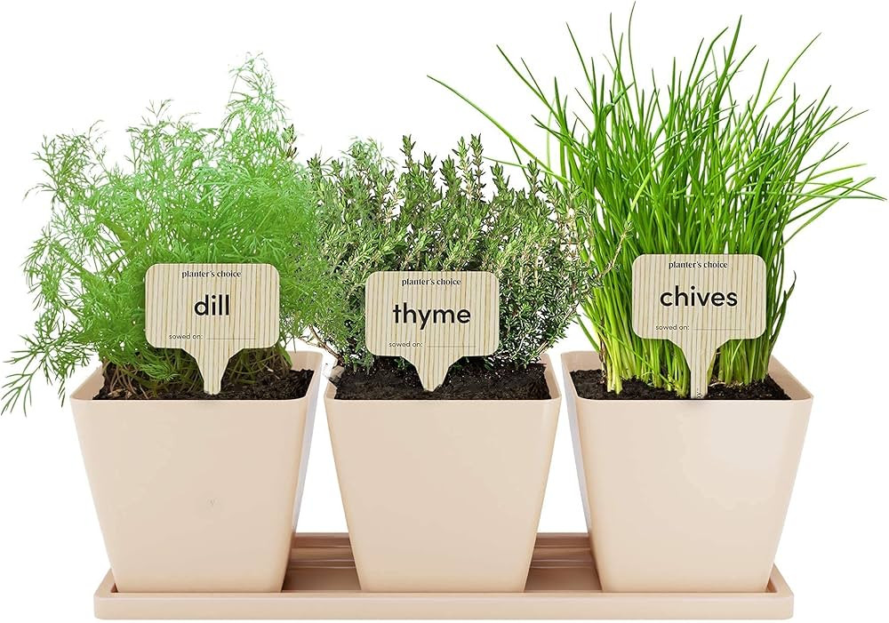 Window Herb Garden - Indoor 9 Herb Starter Kit - Unique Gardening Gifts for Women & Men, Mom, Her... | Amazon (US)