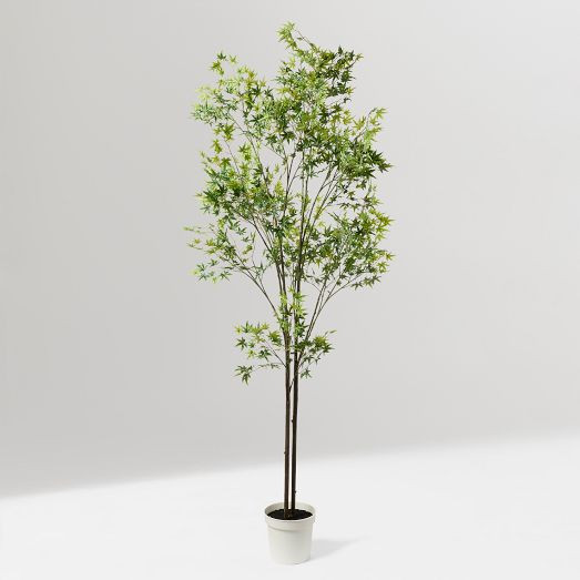 Faux Maple Potted Tree | West Elm (US)