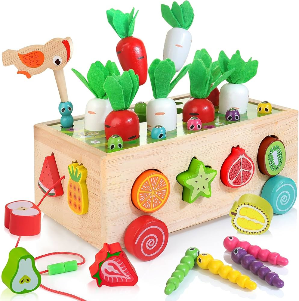Bravmate Toddlers Montessori Educational Toys for Kids Age 2 3 4 Years Old, Shape Sorting Toys fo... | Amazon (US)