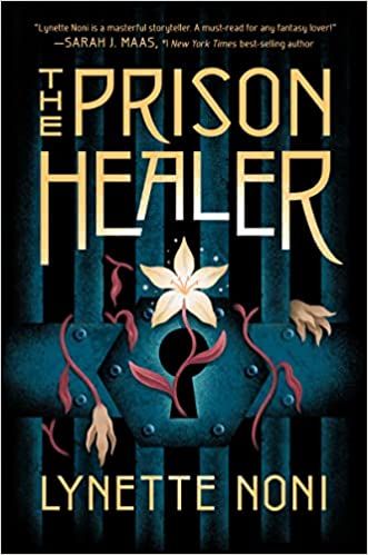 The Prison Healer     Paperback – May 10, 2022 | Amazon (US)
