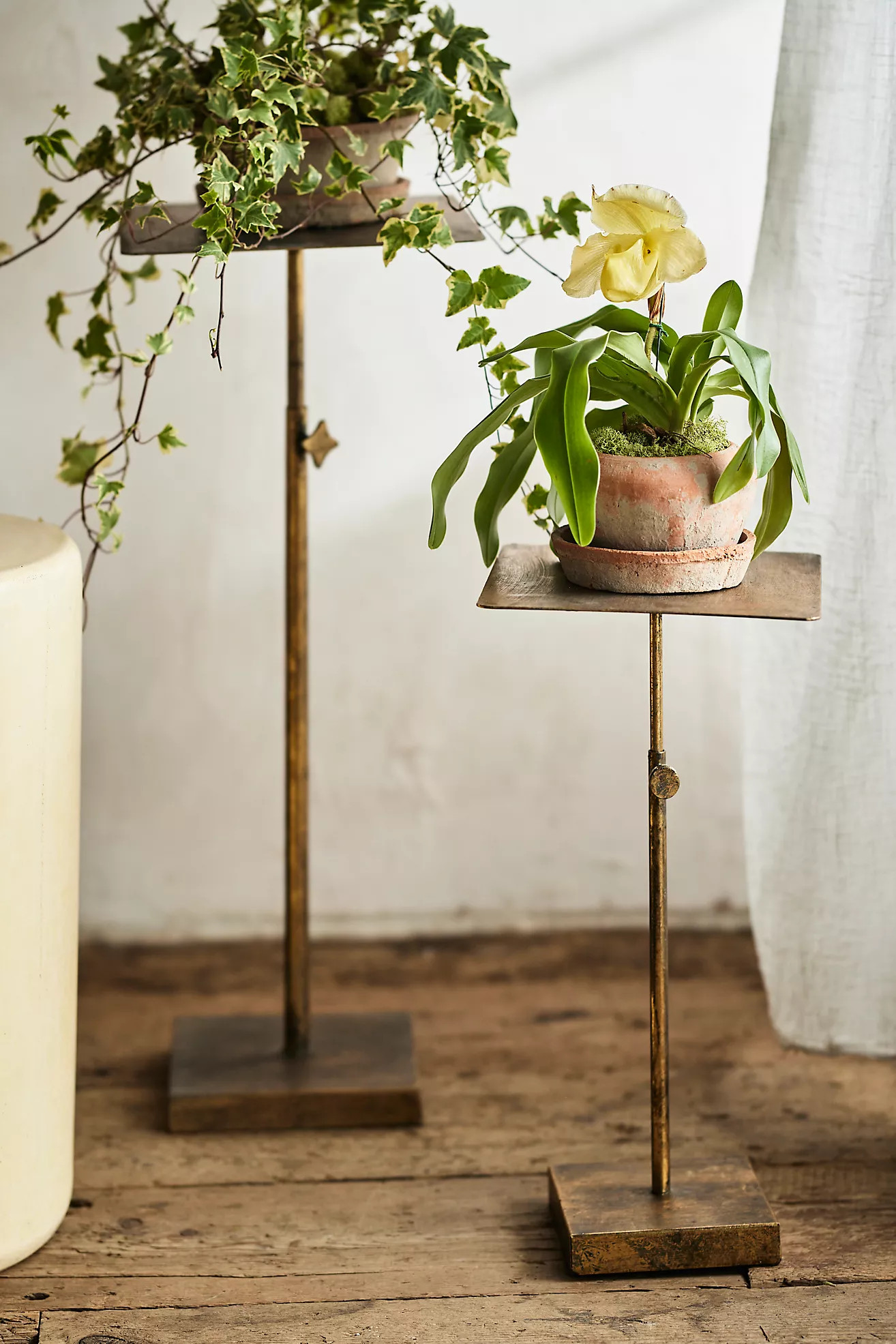 Adjustable Iron Plant Stand | Anthropologie (US)