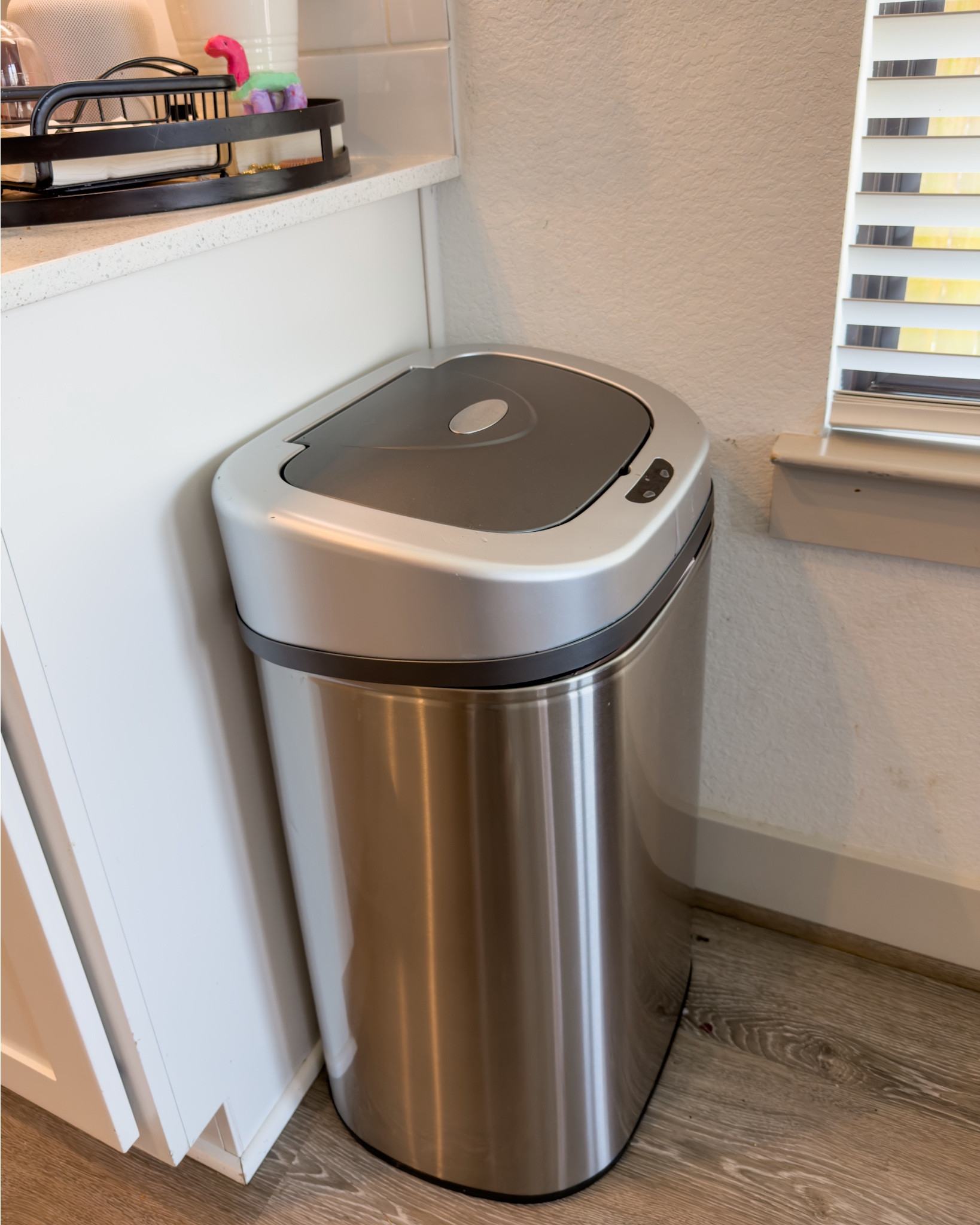 No built in trashcan in the rent house. THIS 21 gal can is only $74 at Walmart and is HANDS FREE MOTION SENSOR! Great buy! 