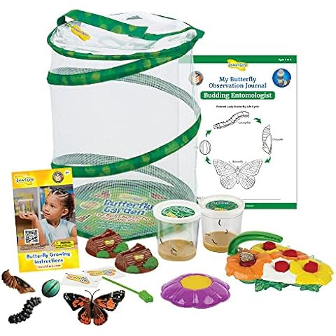 Insect Lore - Butterfly Growing Kit - Butterfly Habitat Kit with Voucher to Redeem 5 Caterpillars... | Amazon (US)