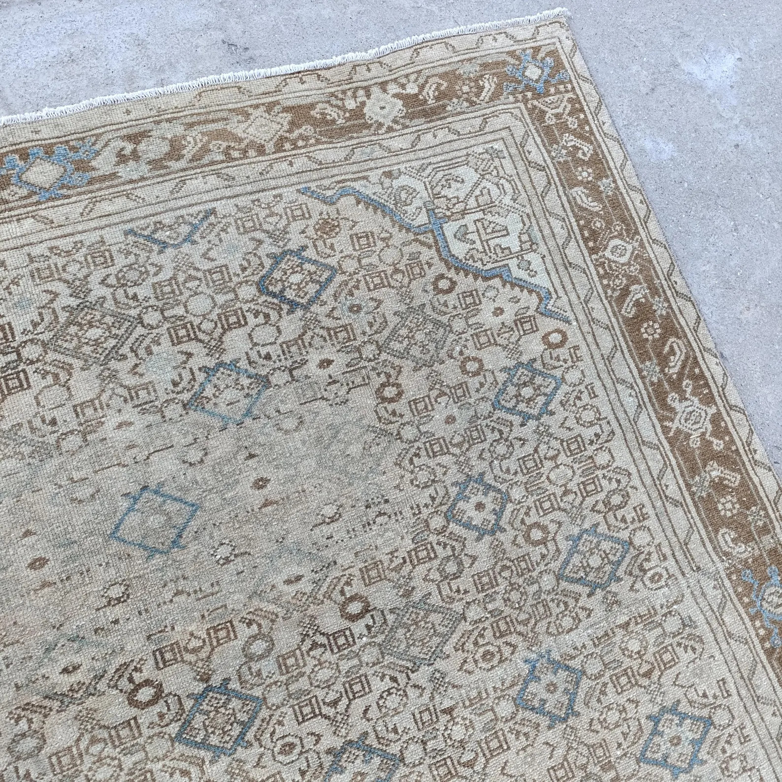 Vintage Persian Area Rug (7x10 ft): Handwoven Brown And White Decor | Etsy (US)