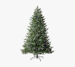 Tree Classics by Balsam Hill Real-Feel® Heritage Balsam Spruce Faux Christmas Tree | Pottery Barn (US)