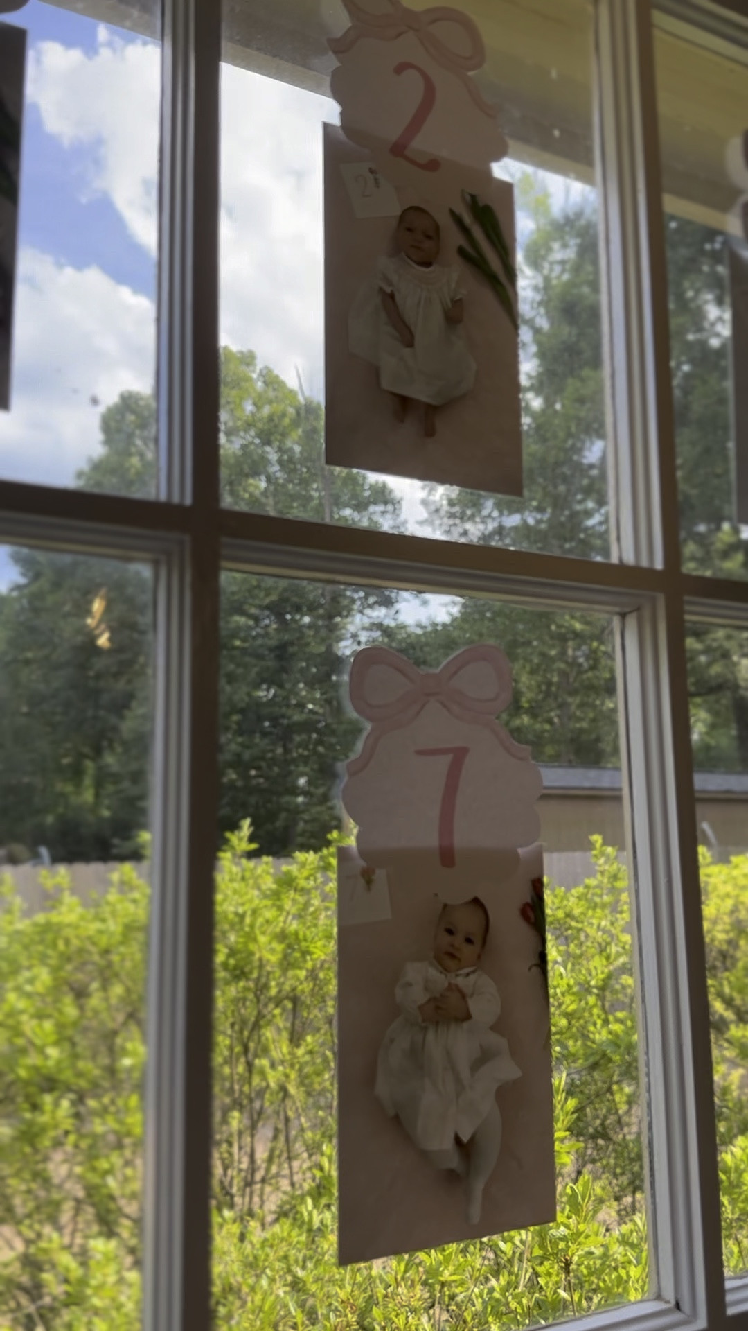 Milestone cards for first birthday decor!