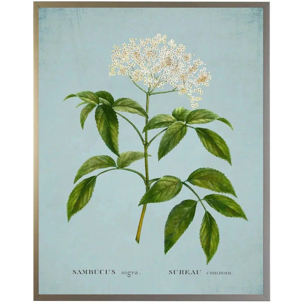 White Surreau Flower on Blue Framed Wall Art | The Well Appointed House, LLC