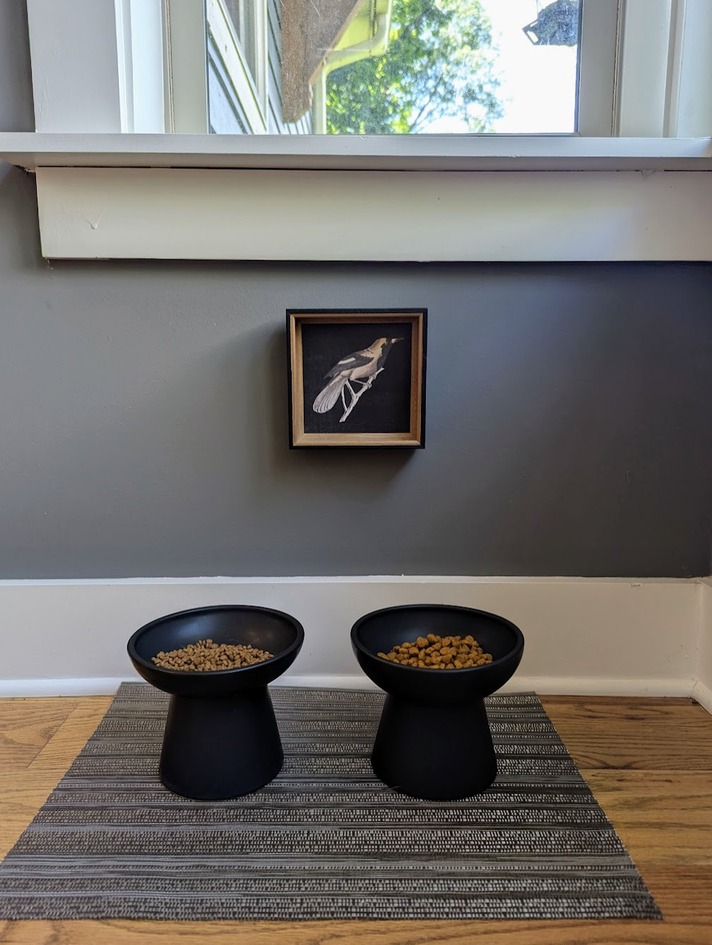 Loving these tall pedestal cat bowls! They are such great quality and the perfect height for comfortable eating for my two kitties. They come in 4 chic colors to match any decor. And don't forget to add a little art to their dining nook! #cats #catbowls #pedestalbowl
 

 #LTKHome #LTKFindsUnder50 #LTKPets
