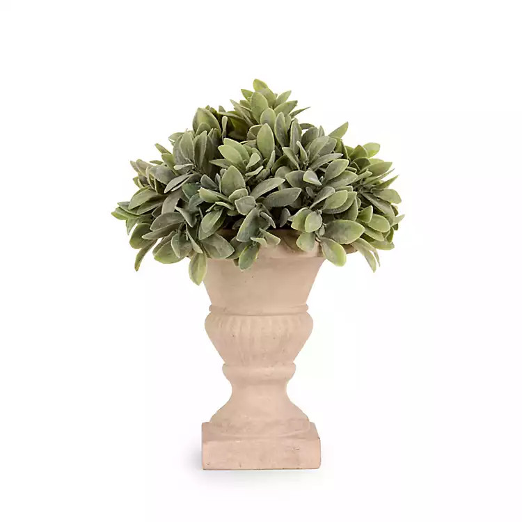 New! Boxwood Greenery Urn Arrangement, 12 in. | Kirklands