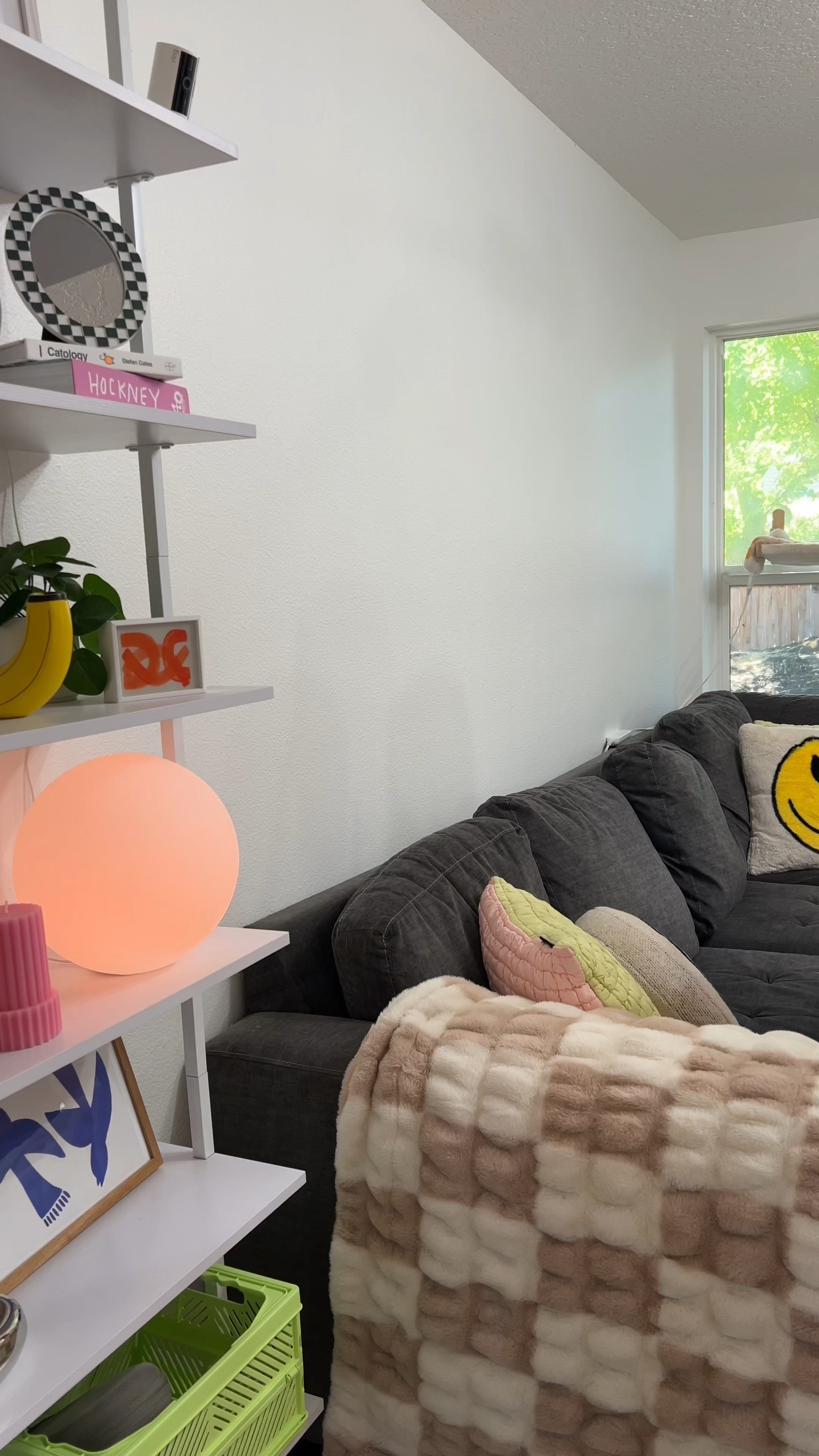 Fun colorful Halloween decorations and for cats too! 

#LTKHalloween #LTKSeasonal