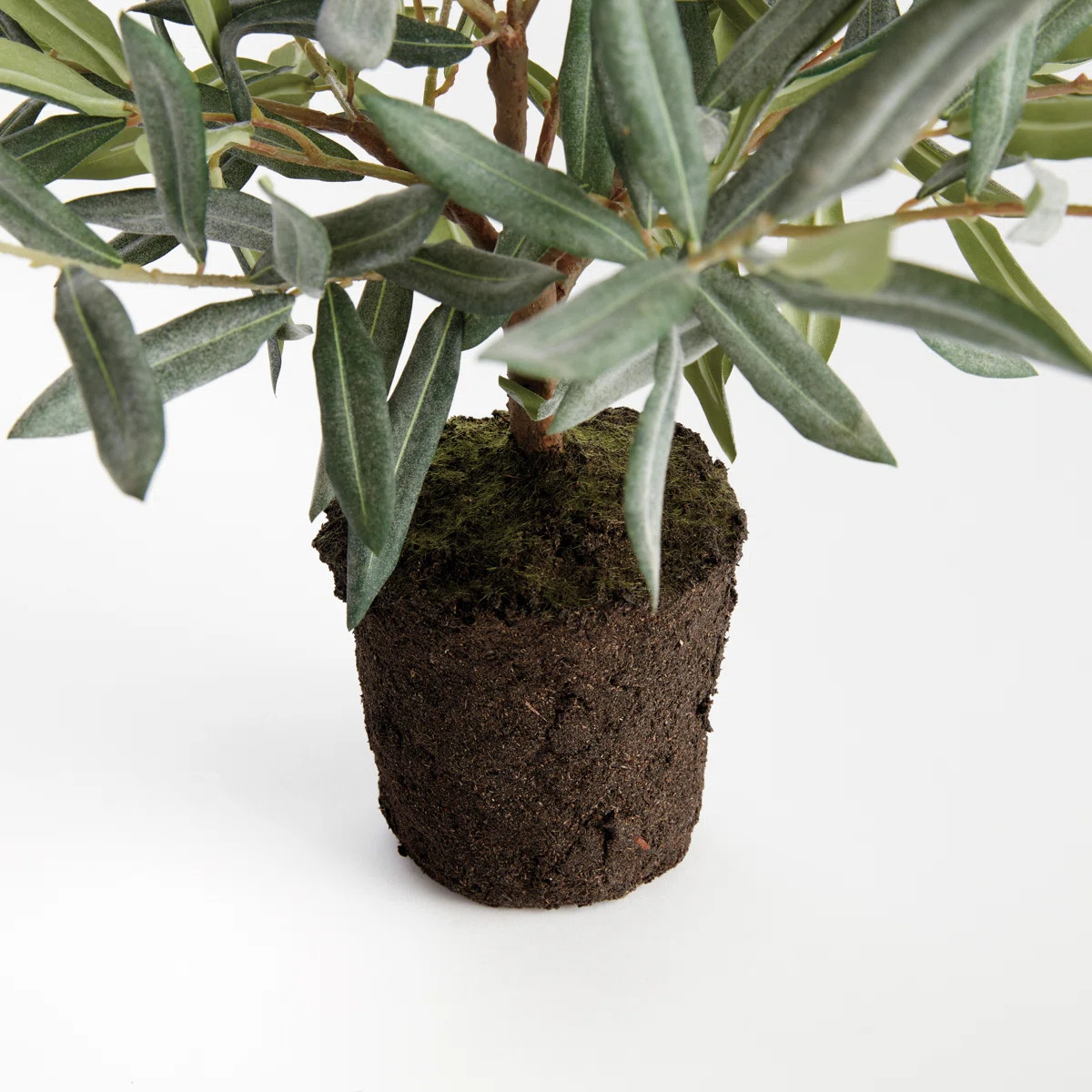 Olivia Petite Realistic Faux Olive Mini Tree Drop-In 17.5 in. | Wayfair North America