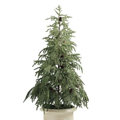 LED Norfolk Pine 5 ft Potted Tree | Frontgate