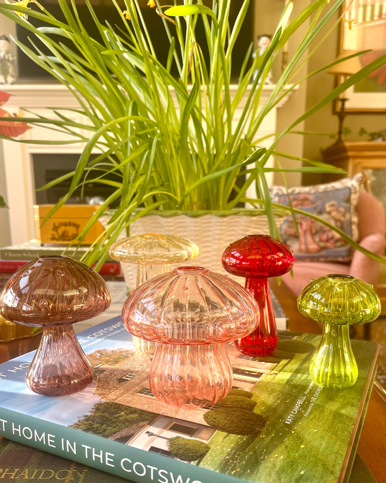 Couldn’t find any flowers to add when I did my grocery run but even empty I love how the set of mushroom vases looks when the sun hits! ☀️🍄 
Get a set of 5 or 10 (these colors or all clear) or buy one individually! I’m already envisioning them cascading down the dining table so may need to order a few more sets!

#LTKhome #LTKSeasonal