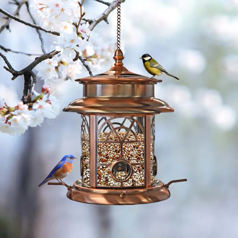 Canora Grey Norcross Solar Tube Bird Feeder & Reviews | Wayfair | Wayfair North America
