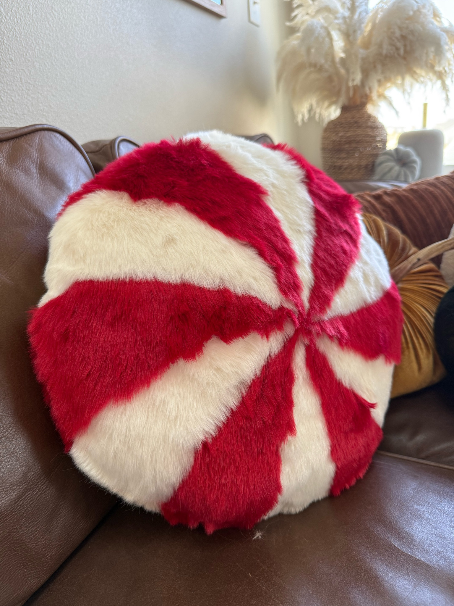 My first Christmas decor order! 😍🍭🎅🏻

#LTKSeasonal #LTKHome