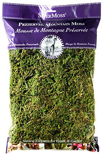 SuperMoss (23802) Mountain Moss Preserved, Fresh Green, 8 Ounces | Amazon (US)
