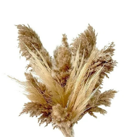 Dried Pampas Grass Decor - 40 Pcs Natural Pompas Floral/ Dried Pompous Grass Boho Plant for Flower A | Walmart (US)
