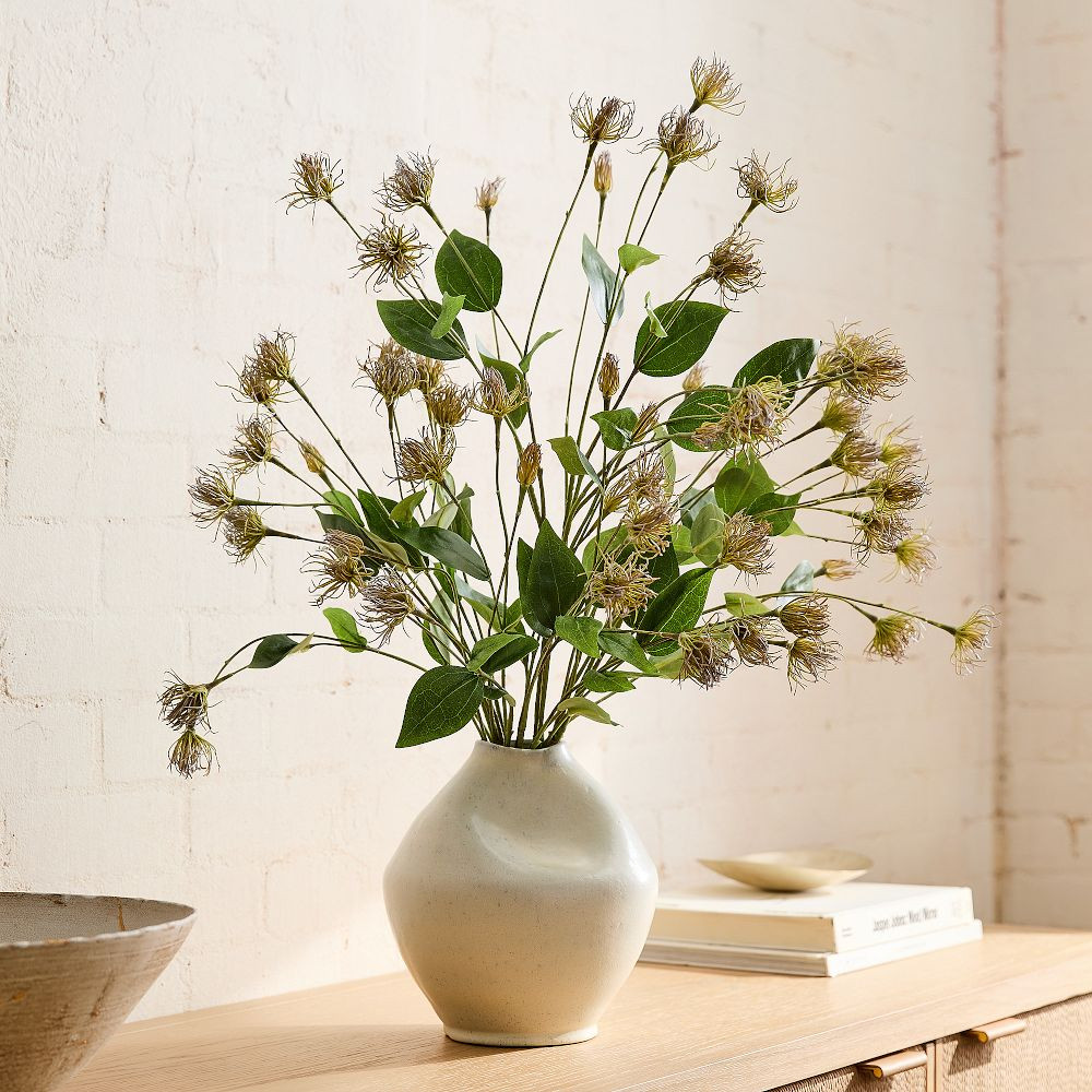 Clematis Pods Bundle | West Elm (US)